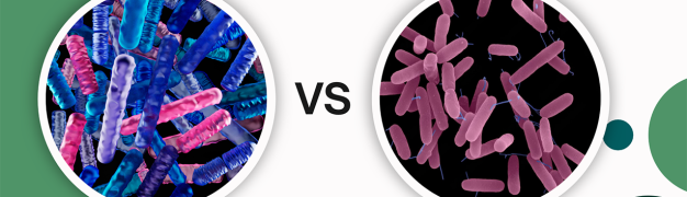مقایسه دو باکتری Pseudomonas putida و Rhizobacteria