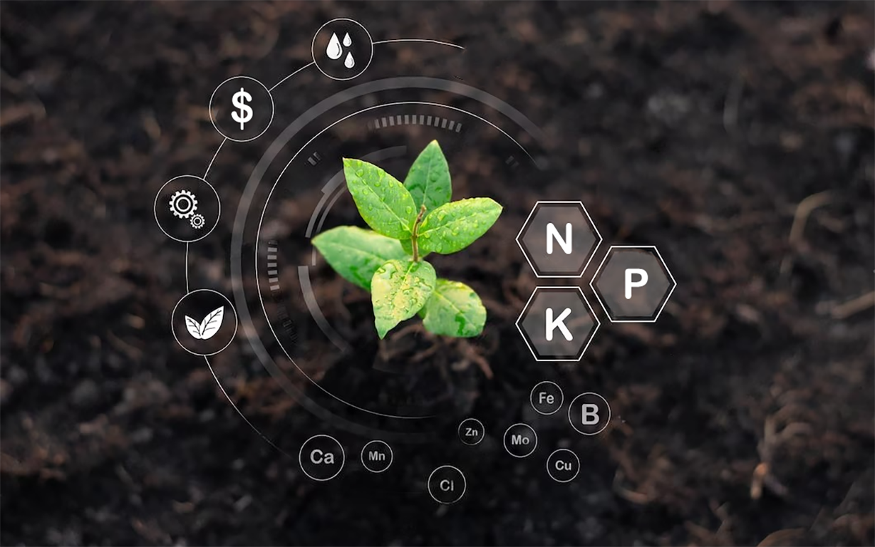 مواد آلی بر روی خاک پوششی چه تاثیری دارند؟