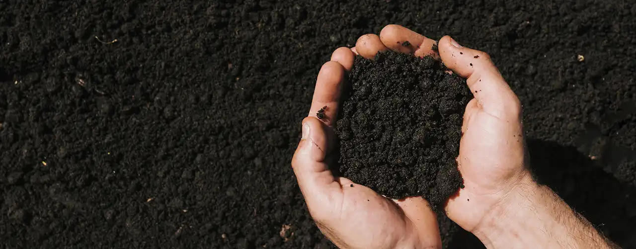 فواید کمپوست در کشاورزی پایدار و ارگانیک