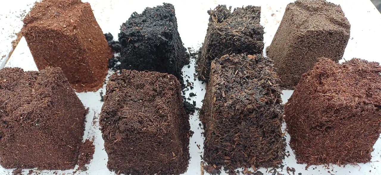 مقایسه کمپوست‌های مختلف و تأثیر آن‌ها بر رشد انواع قارچ