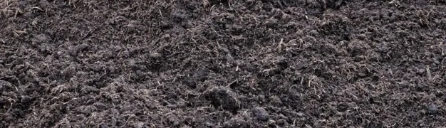 معرفی مواد اولیه و استانداردها در تولید خاک قارچ