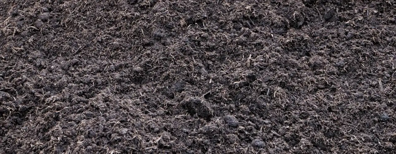 معرفی مواد اولیه و استانداردها در تولید خاک قارچ