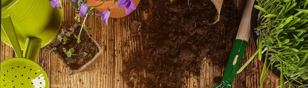 تأثیر کمپوست بر رشد گیاهان آپارتمانی و زینتی