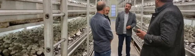 معرفی شرکت کیمیاگستر و آغاز فعالیت در صنعت بستر رویش قارچ