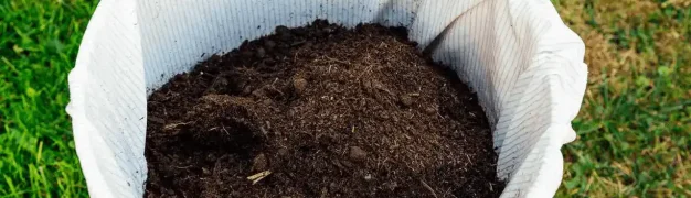 استفاده از تکنولوژی‌های مدرن در تولید کمپوست قارچ