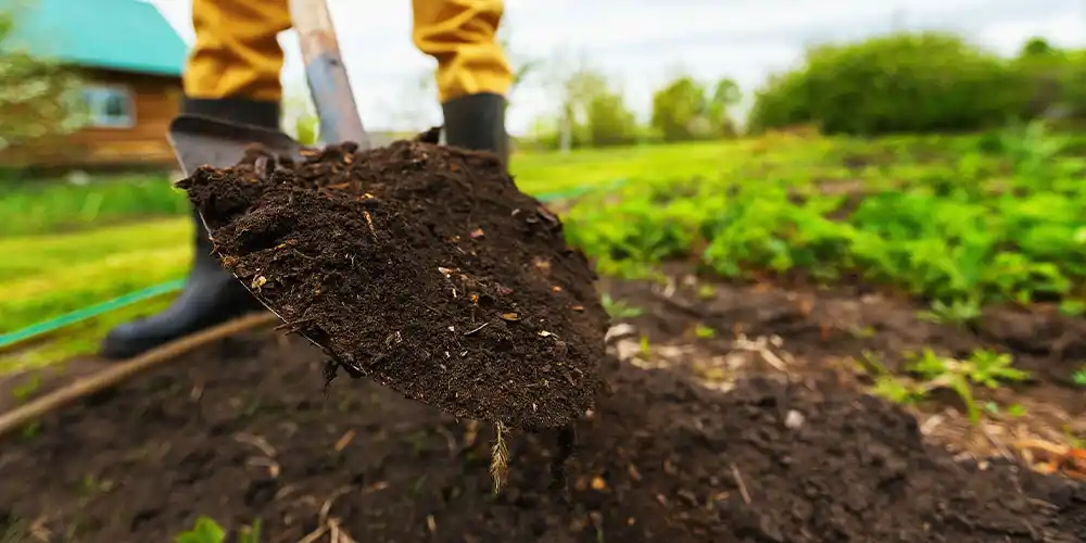 راهنمای مصرف کمپوست برای مبتدیان در کشاورزی و باغبانی