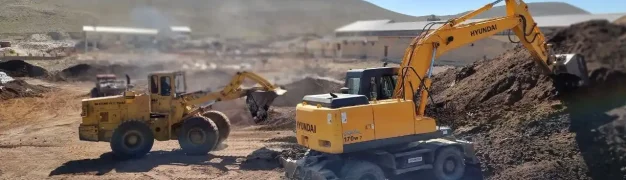 نقش خاک پوششی کیمیا گستر در بهبود عملکرد بستر قارچ